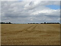 Stubble field, Parson Corner