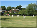 Cricket at Newenden