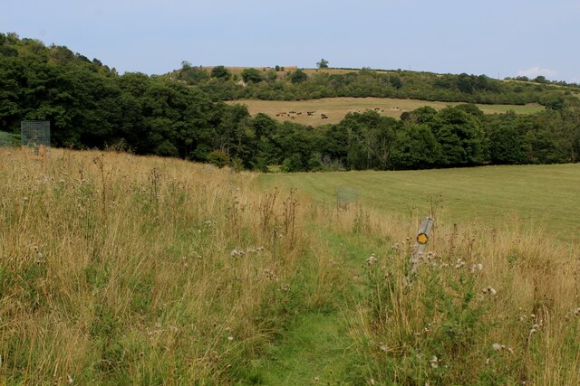 Footpath Below Lambert Hag Wood © Chris Heaton Geograph Britain And