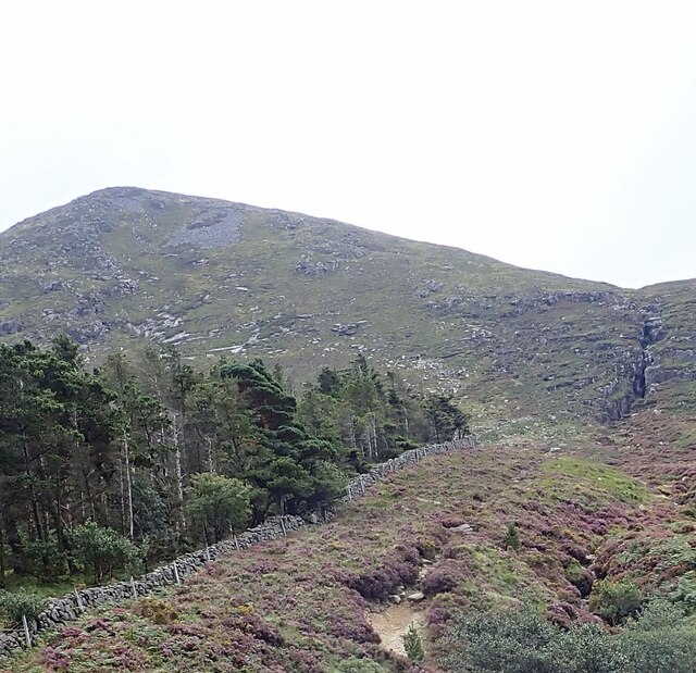 The northern flank of Thomas's Mountain