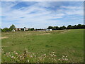 Great Bridge Playing Fields