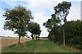 Footpath to Millhill Farm