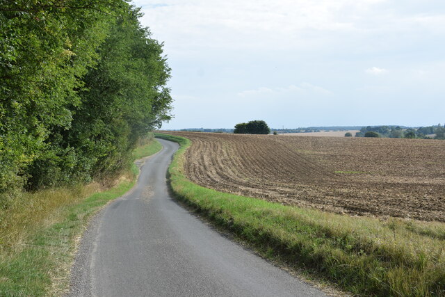 Hedge, road and field