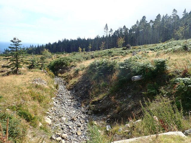 Bone dry tributary of the Glen River