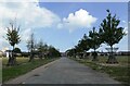 The Avenue of Remembrance,  Herne Bay