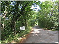 Dallas Lane, near Barcombe Cross