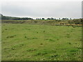 NO4562 : Grassy pastureland near Glenogil by Scott Cormie