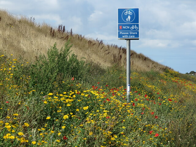 Signage, Northern Promenade