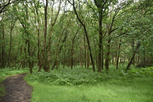 Gills Lap, Wealden - area information, map, walks and more