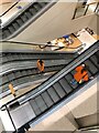 John Lewis escalators