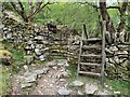SH7258 : Stile and gate on footpath, Capel Curig by Meirion
