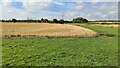 View towards Bagley Green and Farm