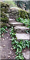 Stone Stile, Nailsworth