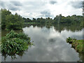 Coxes Mill Pond