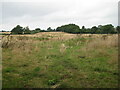 Abandoned field, Great Ryburgh