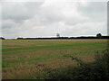 Stubble field and silos near Testerton