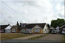 TQ7693 : Bungalows on Southend Road, Wickford by JThomas