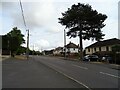 Eastwood Road (A1015), Rayleigh