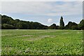 SU8887 : Flat arable land by N Chadwick