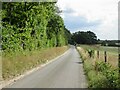 Passing Odstock Copse