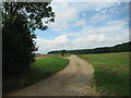 Farm track at South Raynham