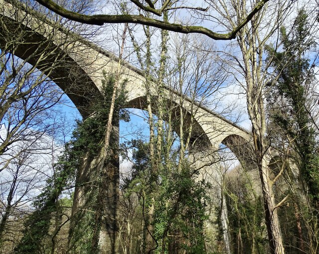 Viaduct at Hamsterley Mill © Robert Graham Geograph Britain and Ireland