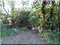 Muddy track off Murthering Lane