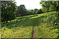 Path below Worcestershire Beacon