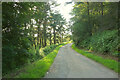 Bridleway near West of England Quarry car park