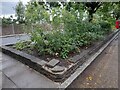 Garden on Nether Street, Finchley