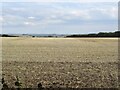 SU0522 : View over Cranbourne Chase from The Ox Drove by Richard Webb