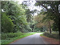 Wells Road near New Holkham