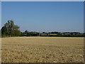 Stubble field near Chevers Hall