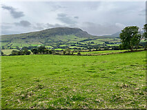 G1302 : Across fields to a mountain by Neville Goodman