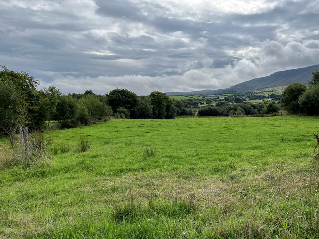 Irish green field