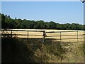 Field entrance off Margaretting Road