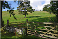 SD5581 : Drinking trough near Crabtree by Ian Taylor