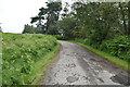 Driveway to Old Lodge