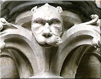SK9771 : Leonine carving, Lincoln Cathedral by pam fray