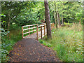 Footbridge over boggy hollow