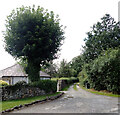 Mosber Lane seen from Marton Road, Gargrave