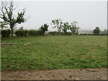 NT8965 : Small pasture field near Coldingham by M J Richardson