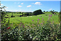 Mount Stewart Townland