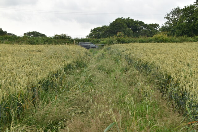 Footpath Through Wheat N Chadwick Cc By Sa 2 0 Geograph Britain And Ireland