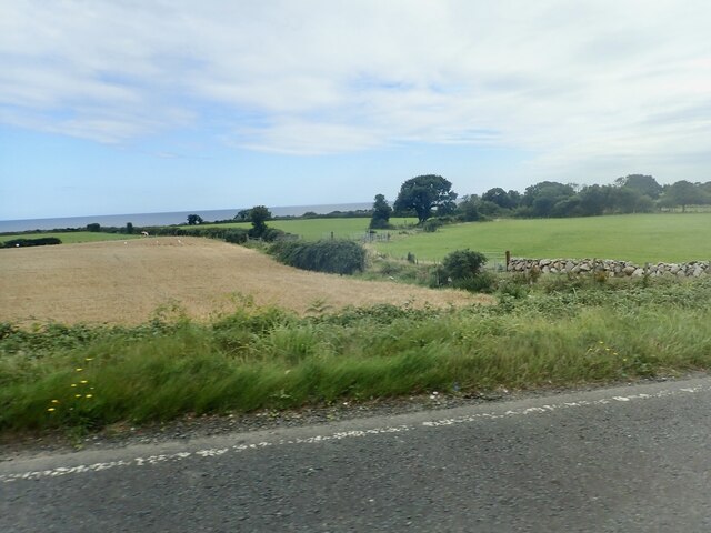 Farmland between the A2 and the sea at George's Quay