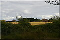 View out of Wicken Fen Nature Reserve towards Second Breeds Farm