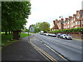 Bus stop and shelter on Kings Road