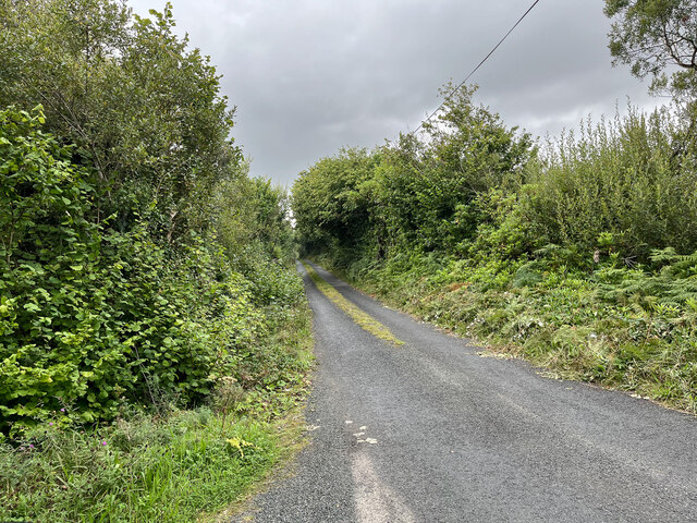 A typical Irish lane