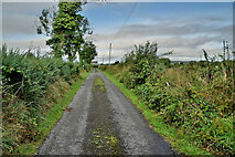 H3965 : Glennan Road, Glennan by Kenneth  Allen