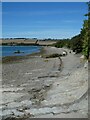 Beach of Taw estuary, Fremington